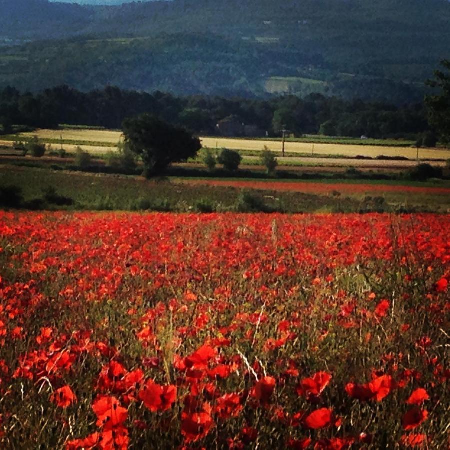 Le Mas De La Glycine Roussillon  Bagian luar foto